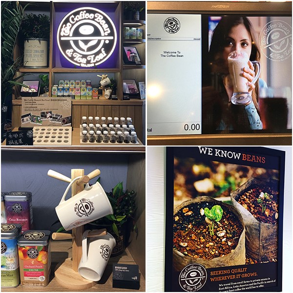 Coffee Bean Opening Picture